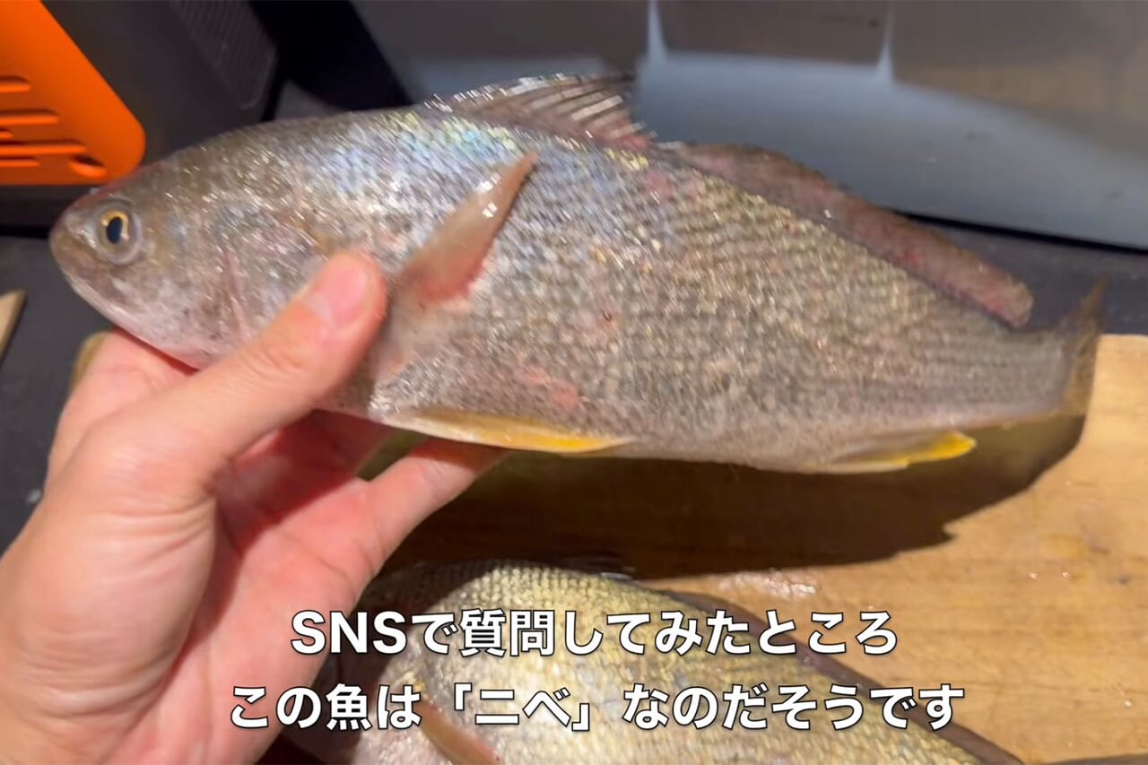 |「こんなのアリ?」「やばい、食った」狙いの『巨大魚』が小魚を丸呑み。まさかの釣れ方に、撮影者も唖然。