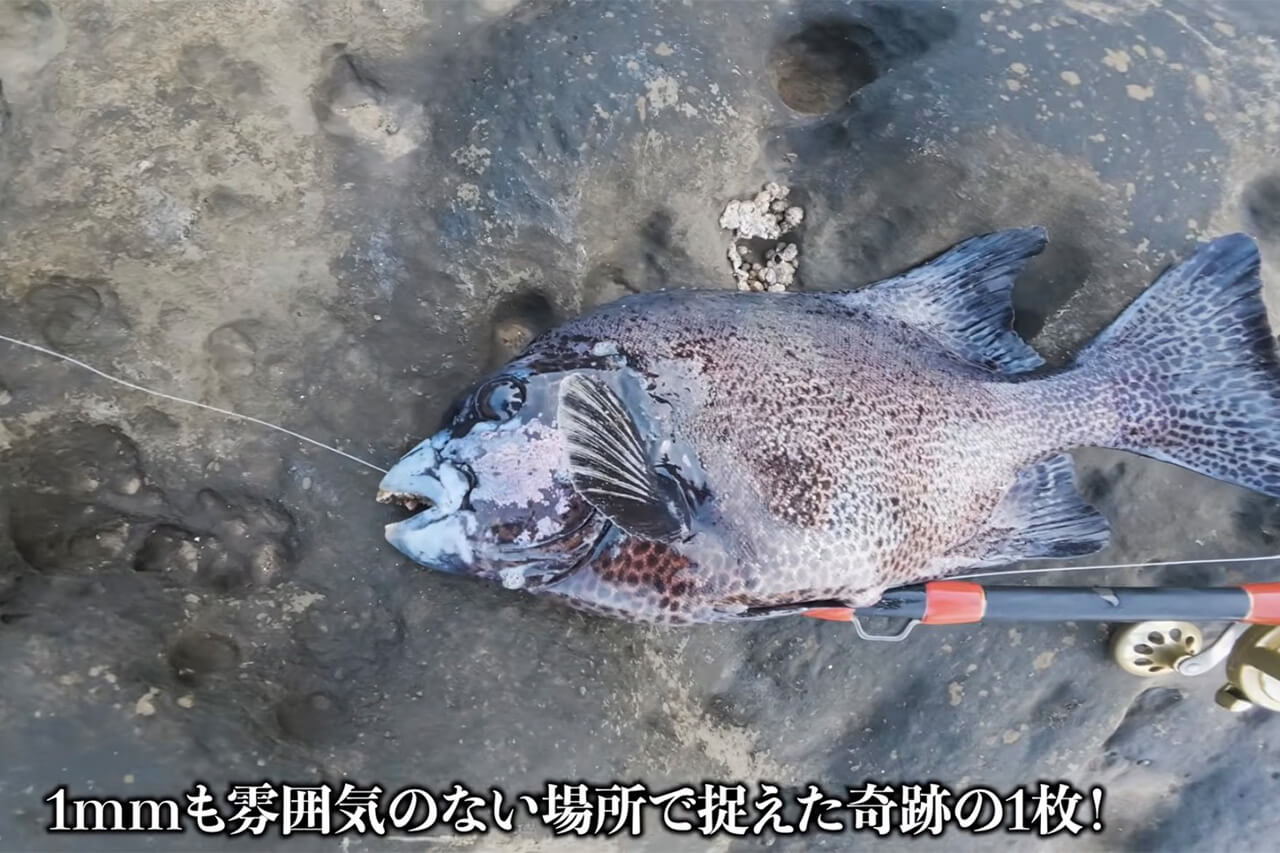 ｜「ヤバい、止まってくれ…」「嘘やろ、デカすぎ」“幻の魚”が潜む『海溝』へ乗り込んだ結果がスゴイ。「ビギナーズラックにも程がある」