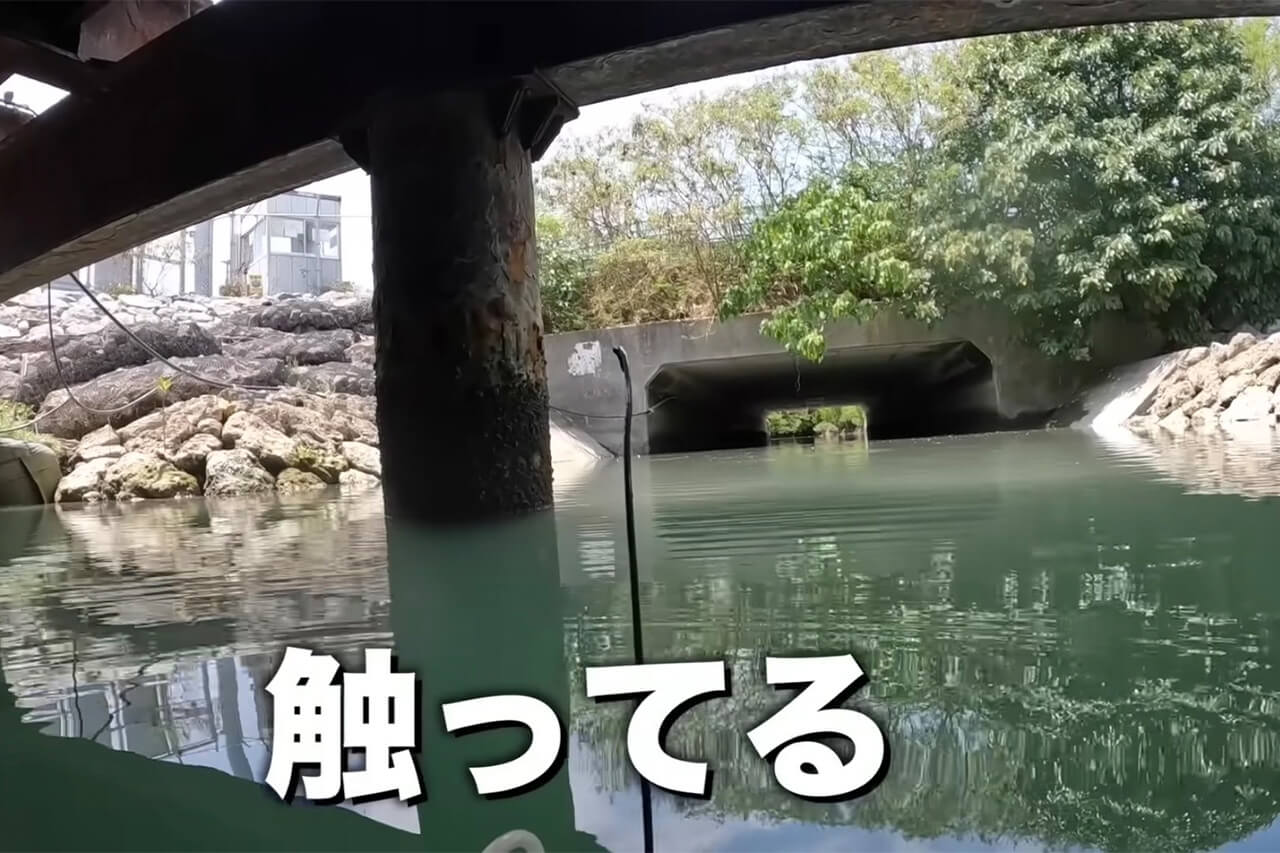 |【驚愕】「この発想はスゴすぎ」ラジコンボートが“大転覆”。人が入れない「禁断の場所」でまさかの大物フィッシング