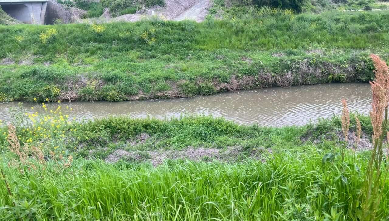 ｜魚が沈黙する田んぼの代掻き「けど、魚がいなくなるわけではない！」どこかにある活きているピンスポットを探しだせ！【鈴木翔のIT’S SHO TIME !!!】
