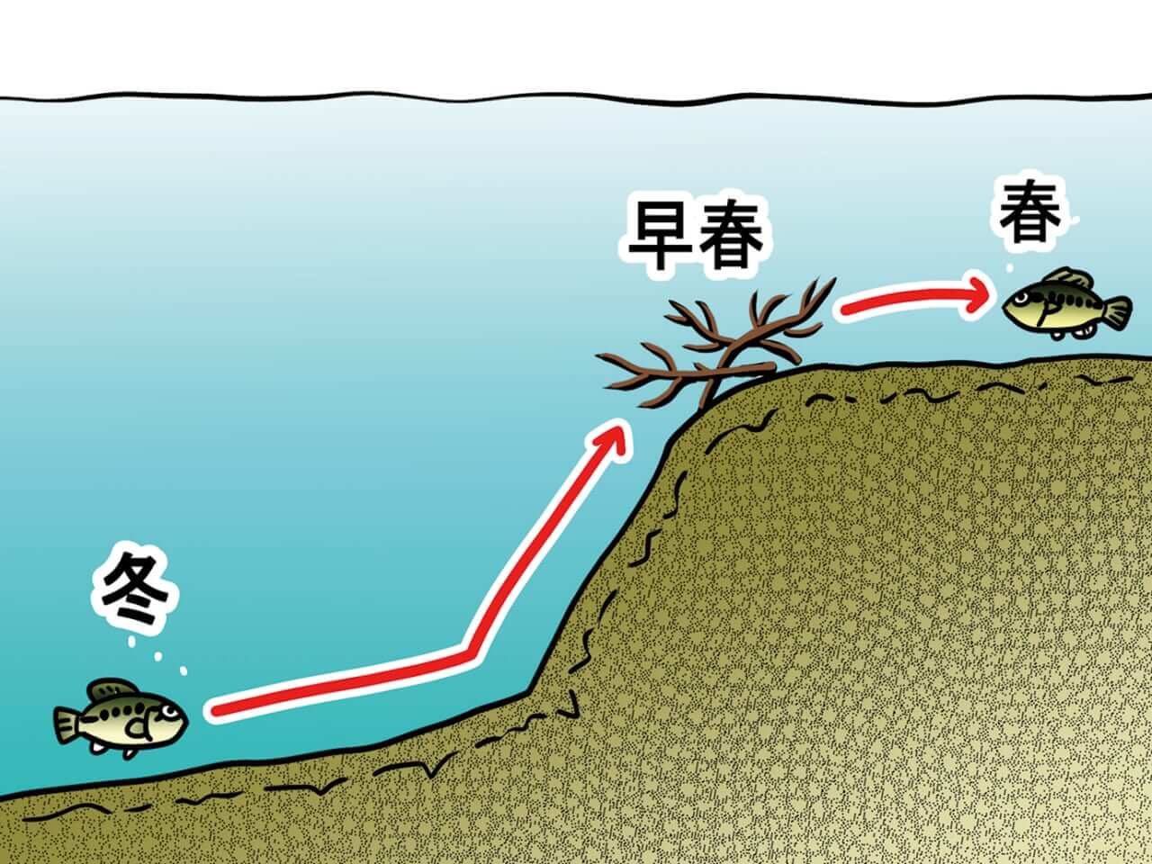 ｜カナモが原点回帰！春のため池を射抜く「ボリューム＆スロー」の衝撃