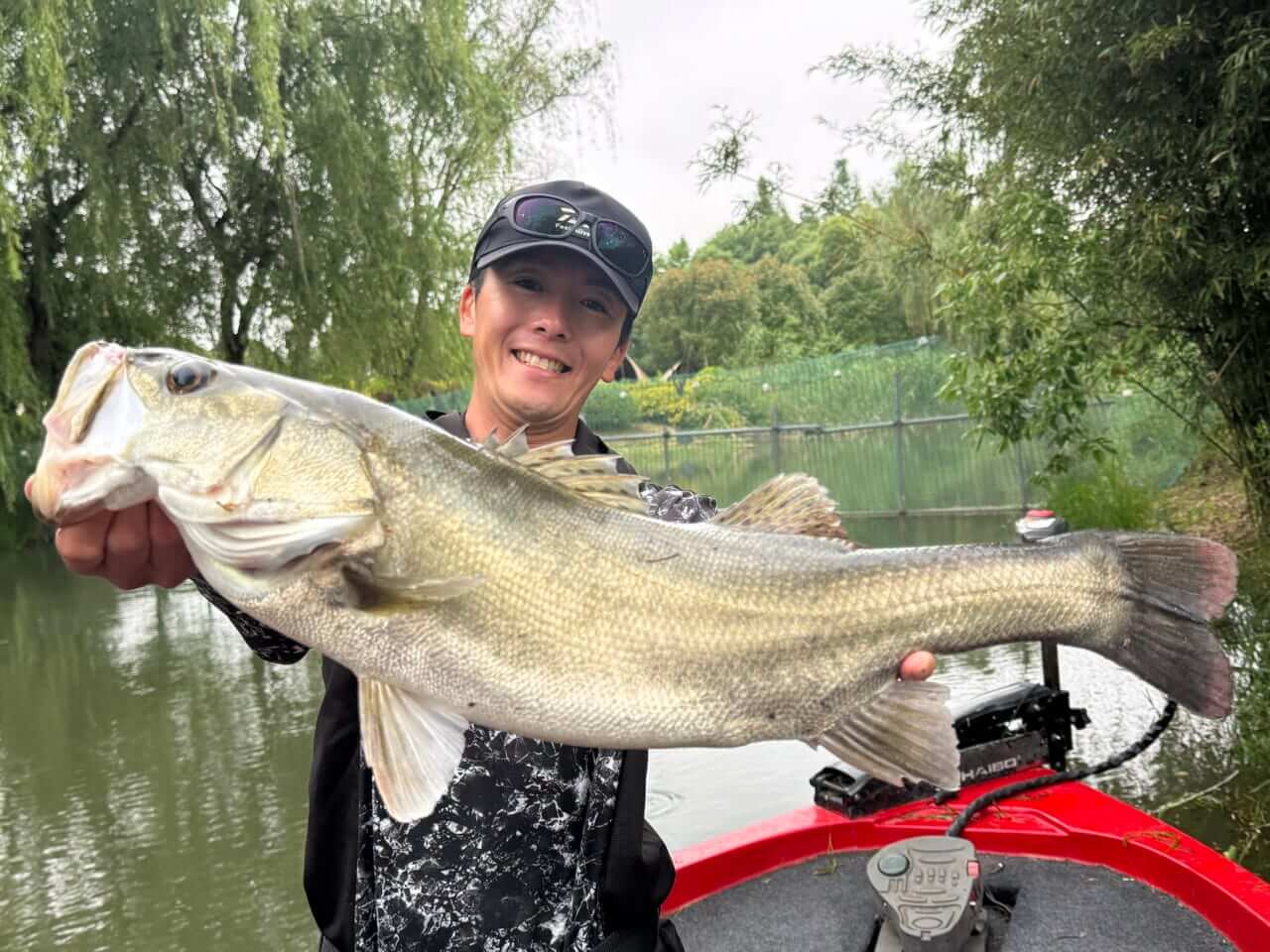 |「めちゃくちゃカッコイイ魚!」どことなくバスっぽい?大陸で出会った淡水ロックフィッシュ【週刊ササカツ無双】