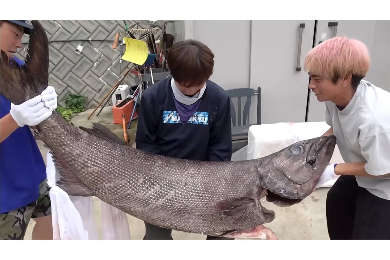 ｜「この色はヤバいだろ」「この魚は市場に出回りません」2m級の巨大怪物魚“インガンダルマ”を食べてみた。