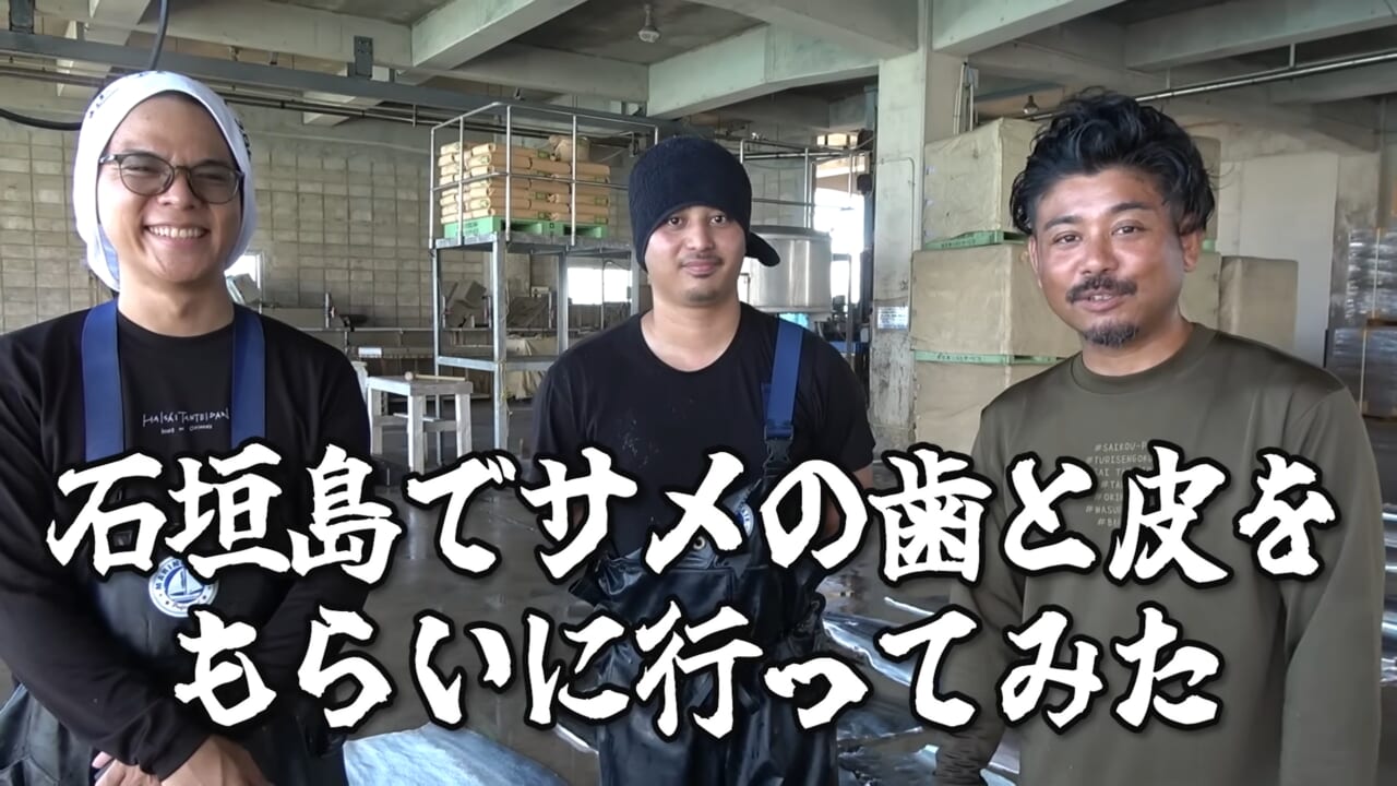 |「ウソでしょ」「うわぁ!デカ!」500キロ級の“怪物サメ”を解体したら…。破裂寸前に膨れたお腹から出てきたものが衝撃的だった件。