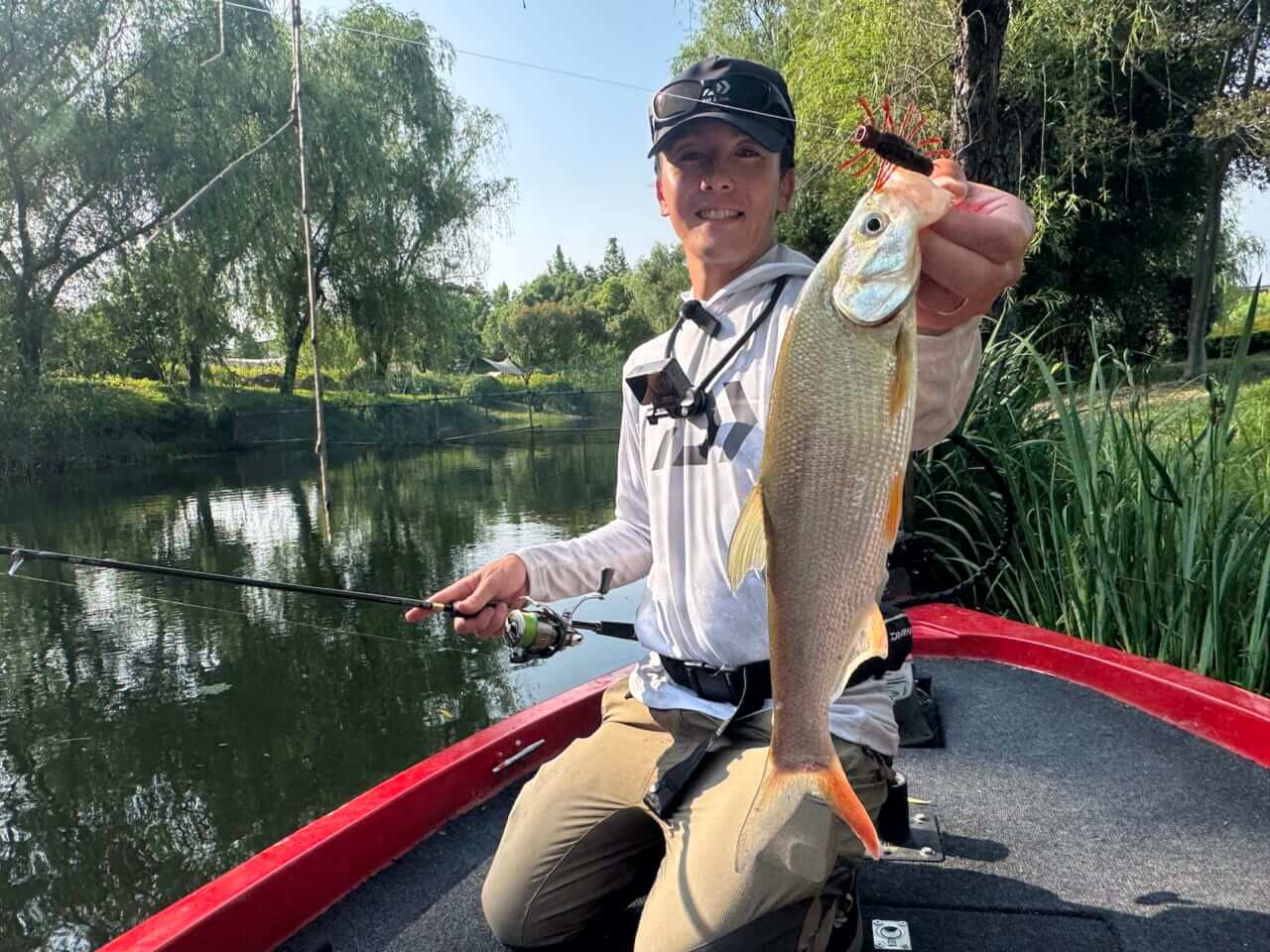 |「めちゃくちゃカッコイイ魚!」どことなくバスっぽい?大陸で出会った淡水ロックフィッシュ【週刊ササカツ無双】