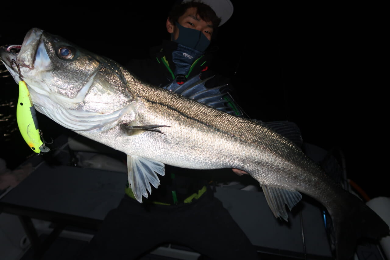 |「超ゆっくり巻く」のが釣れる秘訣!釣りウマ編集スタッフが激推しするブルーブルーのルアーとは?