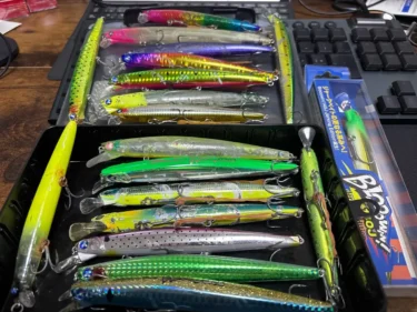 ブローウィン140Sとの10年間（hiro）