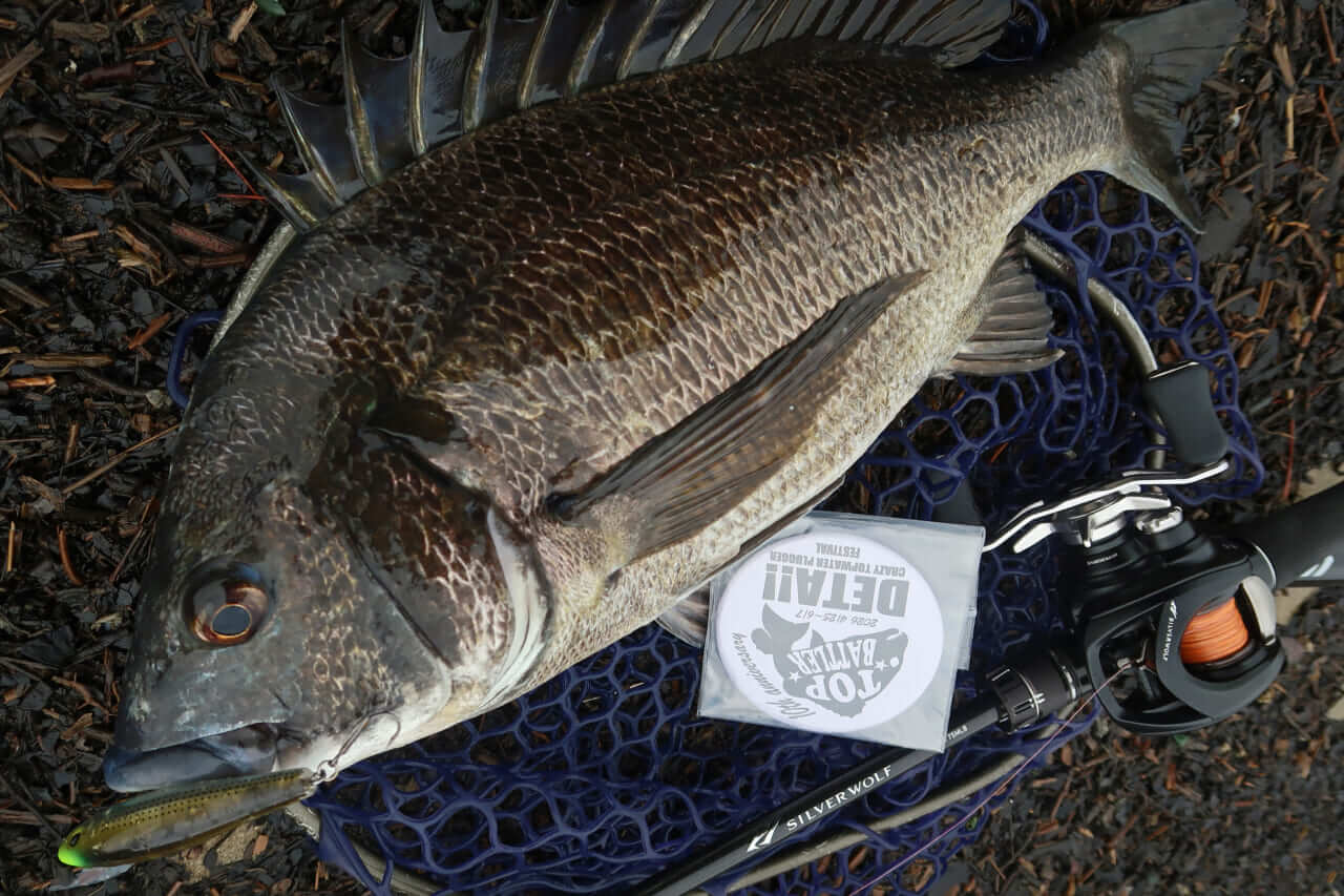 ｜こだわり抜いた新色『釣れる秘密はベリーの色』かつて爆釣したシークレットカラーをついに採用！［もりぞー的アーバンチニング］