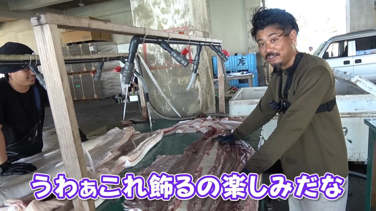 ｜「ウソでしょ」「うわぁ！デカ！」500キロ級の“怪物サメ”を解体したら…。破裂寸前に膨れたお腹から出てきたものが衝撃的だった件。