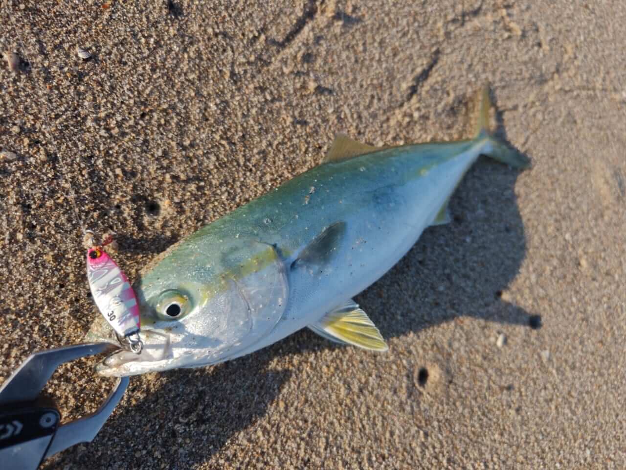 ｜サーフで大切なこと観察とは？地形とベイトを気にすればヒラメも青物ももっと釣れる！