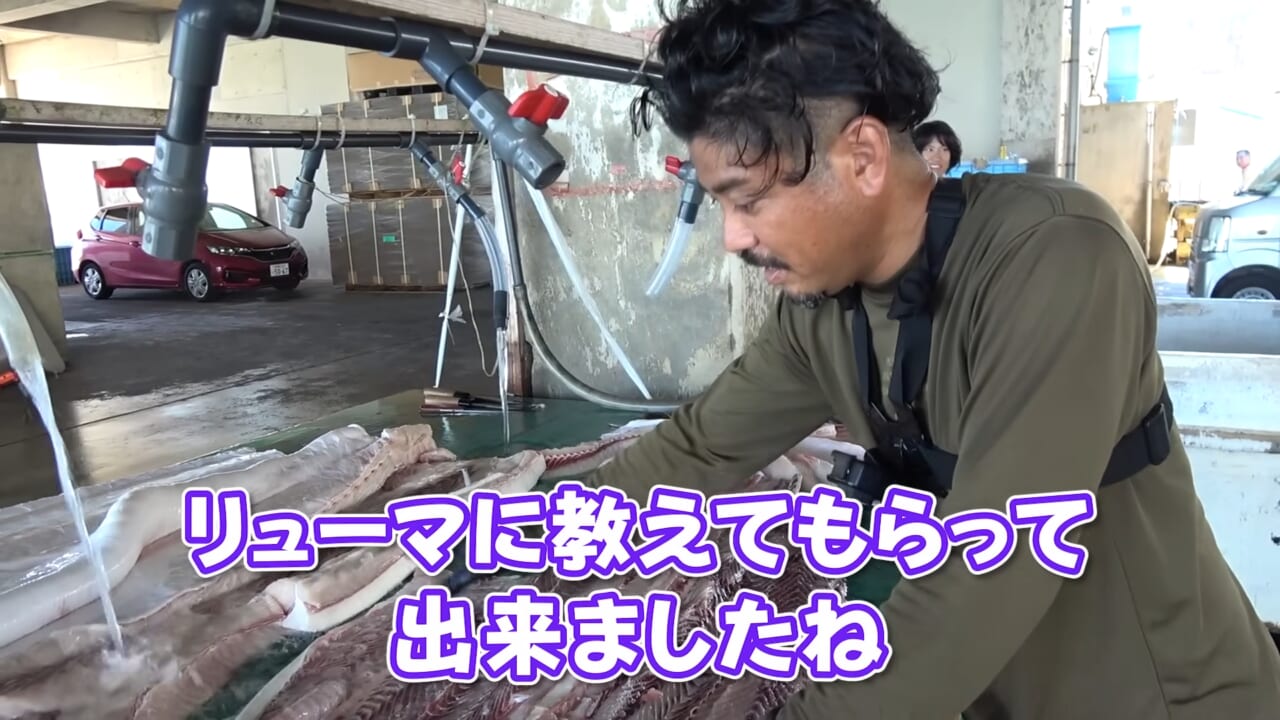|「ウソでしょ」「うわぁ!デカ!」500キロ級の“怪物サメ”を解体したら…。破裂寸前に膨れたお腹から出てきたものが衝撃的だった件。