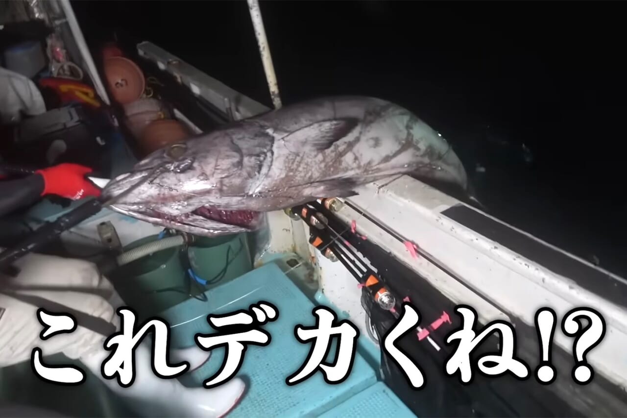 |「恐竜?」「デカすぎる」深海から現れた『販売禁止』の巨大魚が衝撃過ぎた件。「一生に一度レベルかも…」