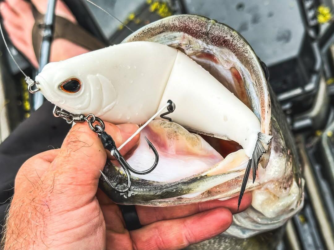 ｜丁度いいサイズ感！便利に使える多様さが武器！アメリカでも話題のテール形状にも注目！