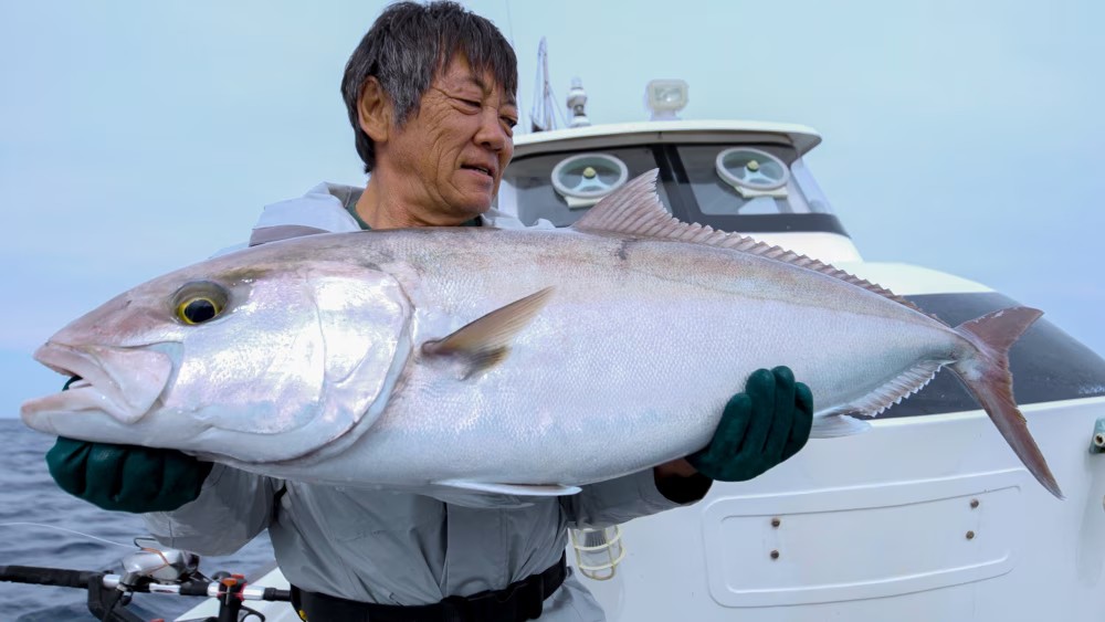 |「これがシマノ史上最強」実用巻上持久力25キロという驚愕のスペックで登場する新型リール。“2スピードシステム”採用のフラッグシップモデル。