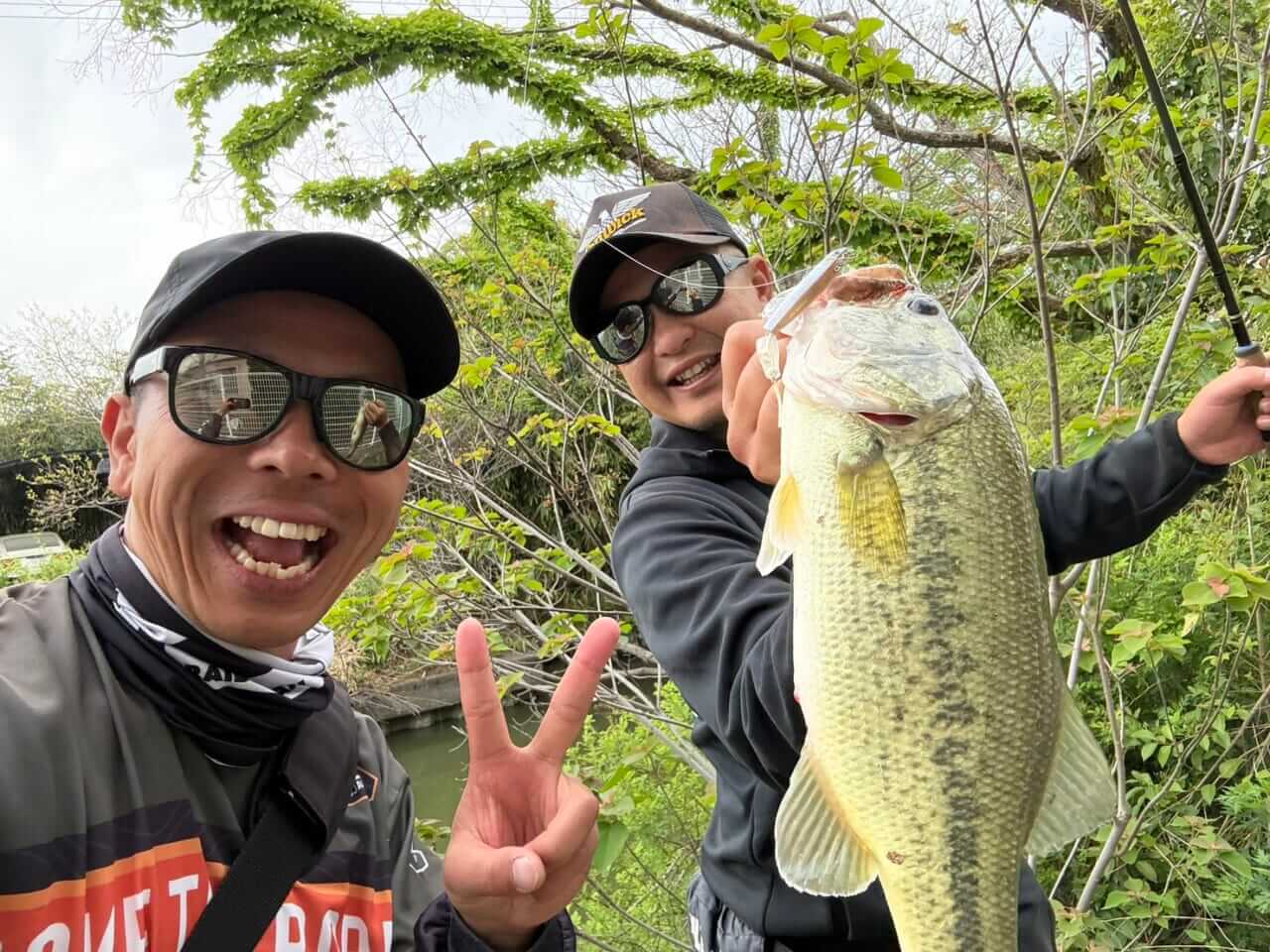 ｜まだ未知数だけど、釣れてまうやろ！稚魚食いに効かないはずがないマイクロアラバマ。巻いてもストってもどちらでもどうぞ！