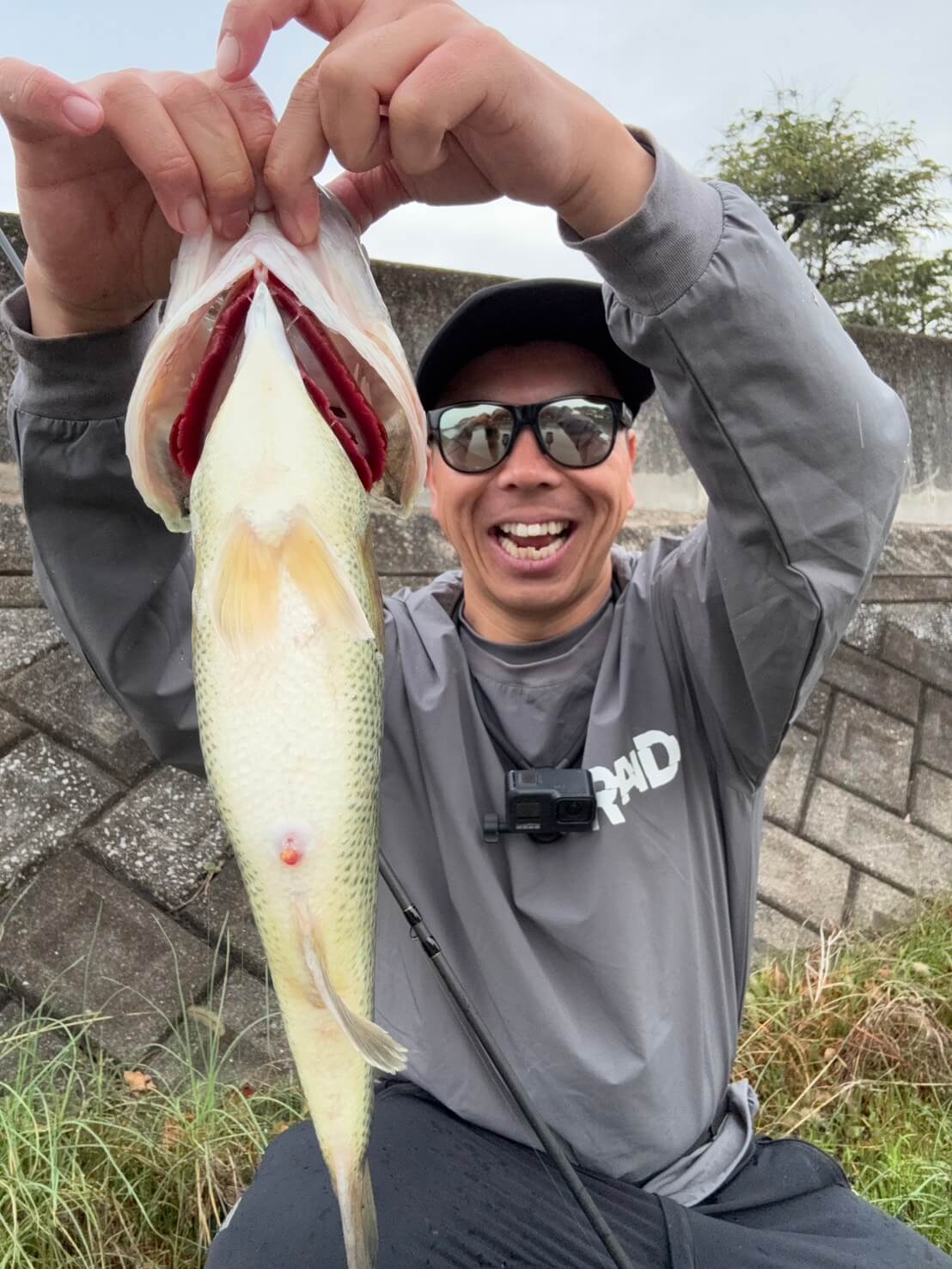 |6月に試すべき釣りはコレ。今キているのがライトリグの『ふあふあ系』しっかり魚に合わせないと無反応になりますよ!