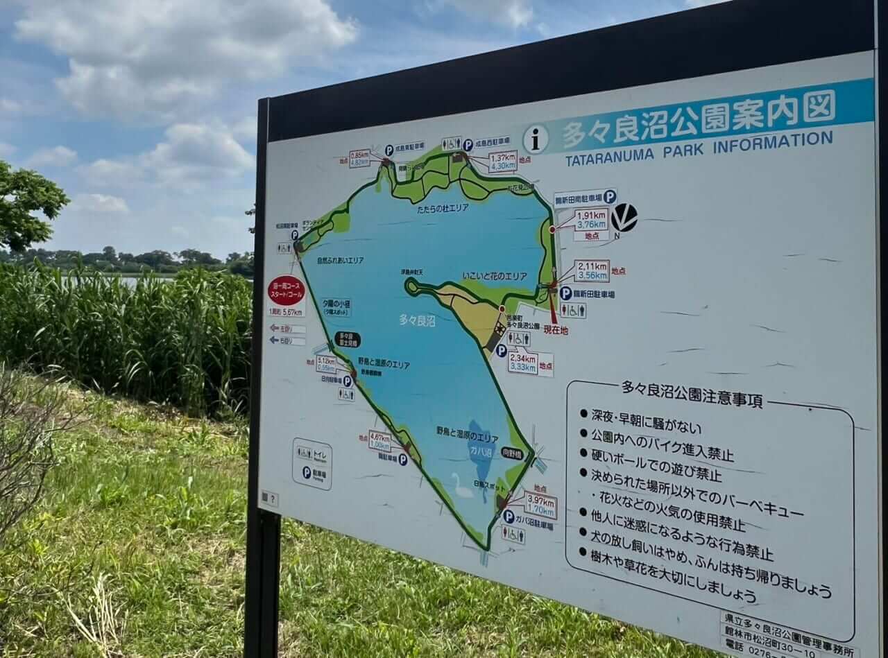 ｜この沼にこんな大物がいたなんて・・・。釣れればデカイは本当だった！多くのアングラーを魅了するタタランバスとは？【鈴木翔のIT’S SHO TIME !!!】