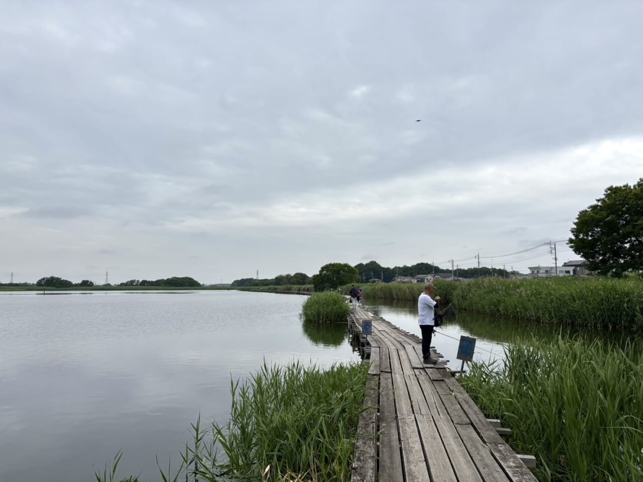 ｜この沼にこんな大物がいたなんて・・・。釣れればデカイは本当だった！多くのアングラーを魅了するタタランバスとは？【鈴木翔のIT’S SHO TIME !!!】
