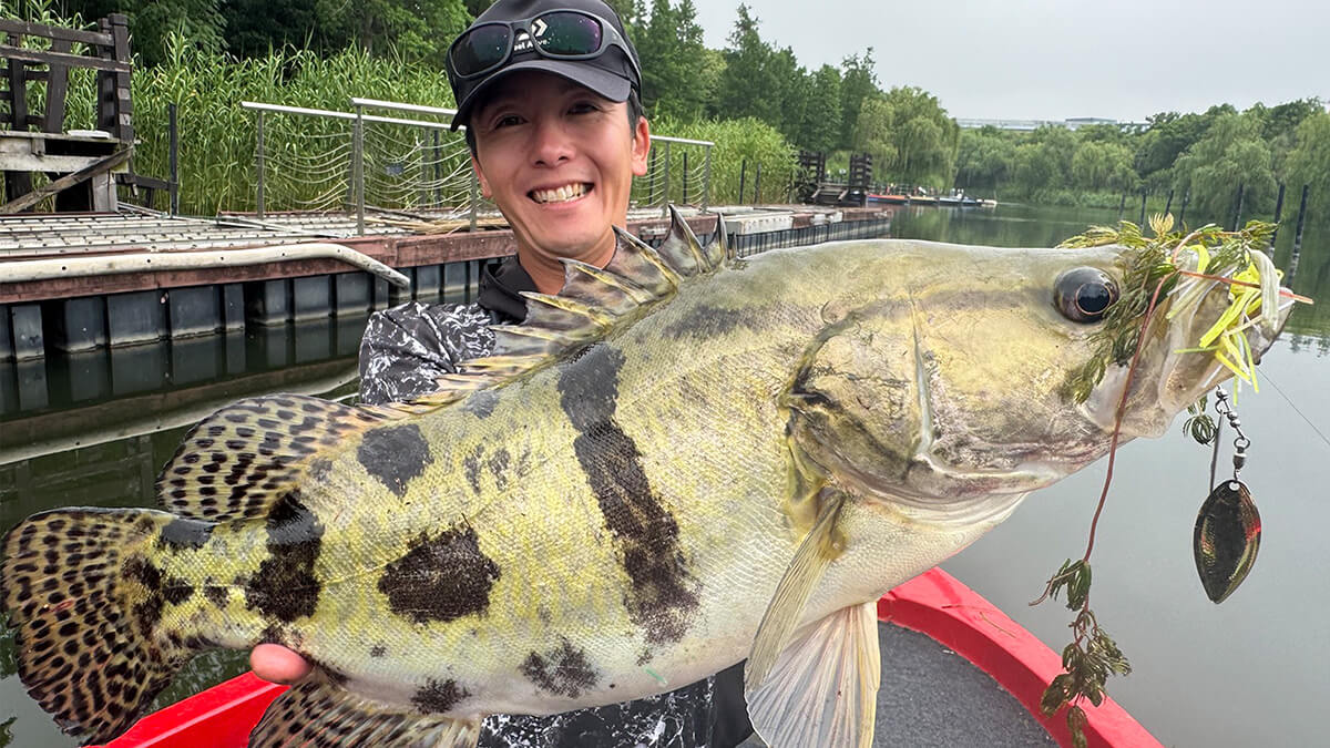 |「めちゃくちゃカッコイイ魚!」どことなくバスっぽい?大陸で出会った淡水ロックフィッシュ【週刊ササカツ無双】