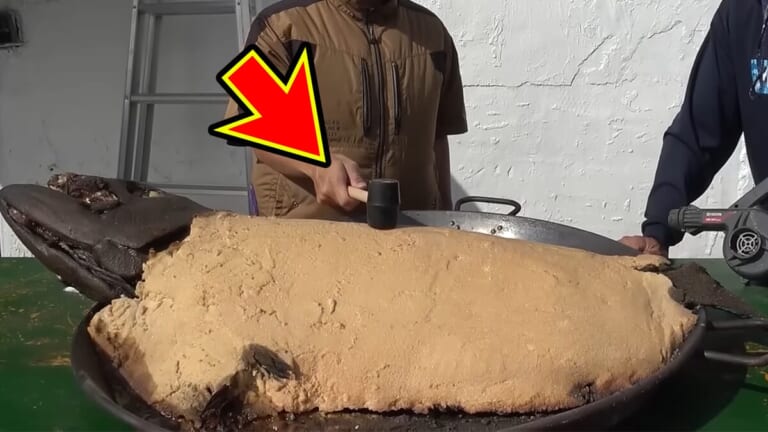 「この色はヤバいだろ」「この魚は市場に出回りません」2m級の巨大怪物魚“インガンダルマ”を食べてみた。