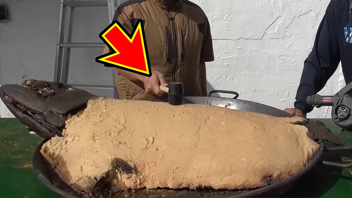 ｜「この色はヤバいだろ」「この魚は市場に出回りません」2m級の巨大怪物魚“インガンダルマ”を食べてみた。