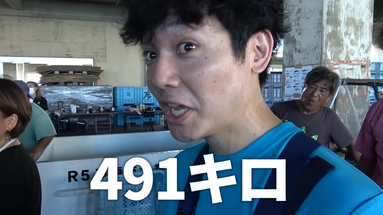|「ウソでしょ」「うわぁ!デカ!」500キロ級の“怪物サメ”を解体したら…。破裂寸前に膨れたお腹から出てきたものが衝撃的だった件。