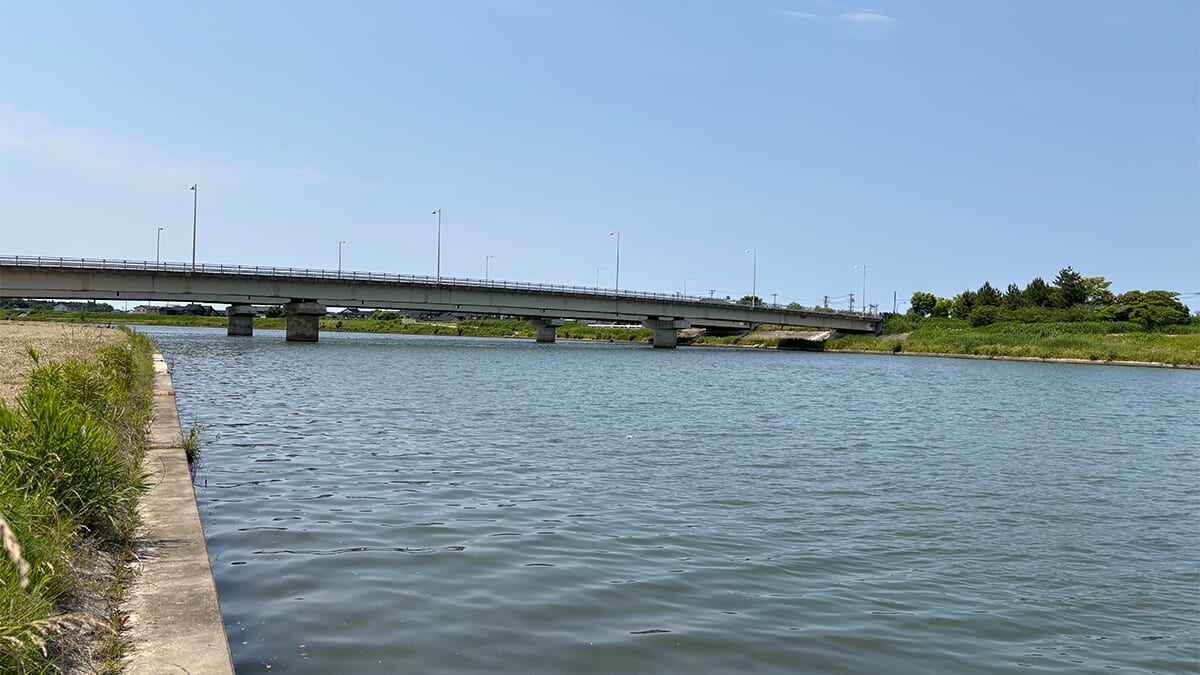 |石川県河川を攻略!地元帰省で見つけた渋い状況でもシーバスを引き出すルアーの答え
