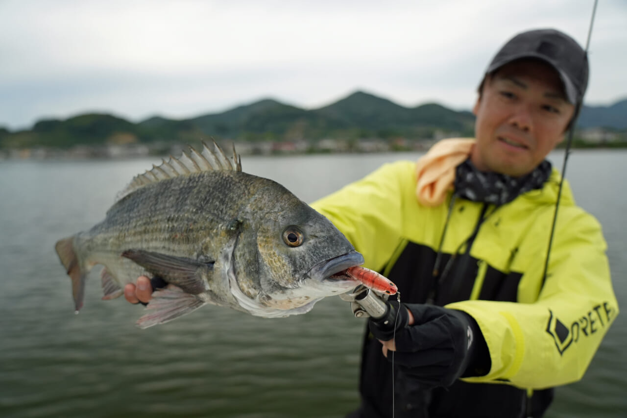 ｜こだわり抜いた新色『釣れる秘密はベリーの色』かつて爆釣したシークレットカラーをついに採用！［もりぞー的アーバンチニング］