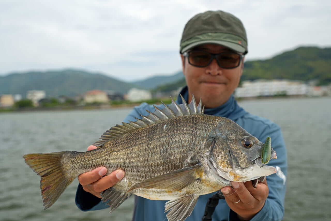 ｜こだわり抜いた新色『釣れる秘密はベリーの色』かつて爆釣したシークレットカラーをついに採用！［もりぞー的アーバンチニング］
