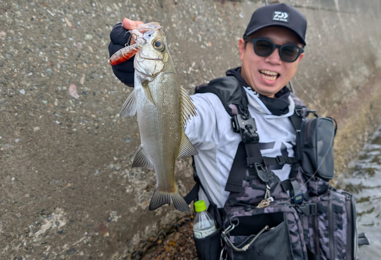 ｜こだわり抜いた新色『釣れる秘密はベリーの色』かつて爆釣したシークレットカラーをついに採用！［もりぞー的アーバンチニング］