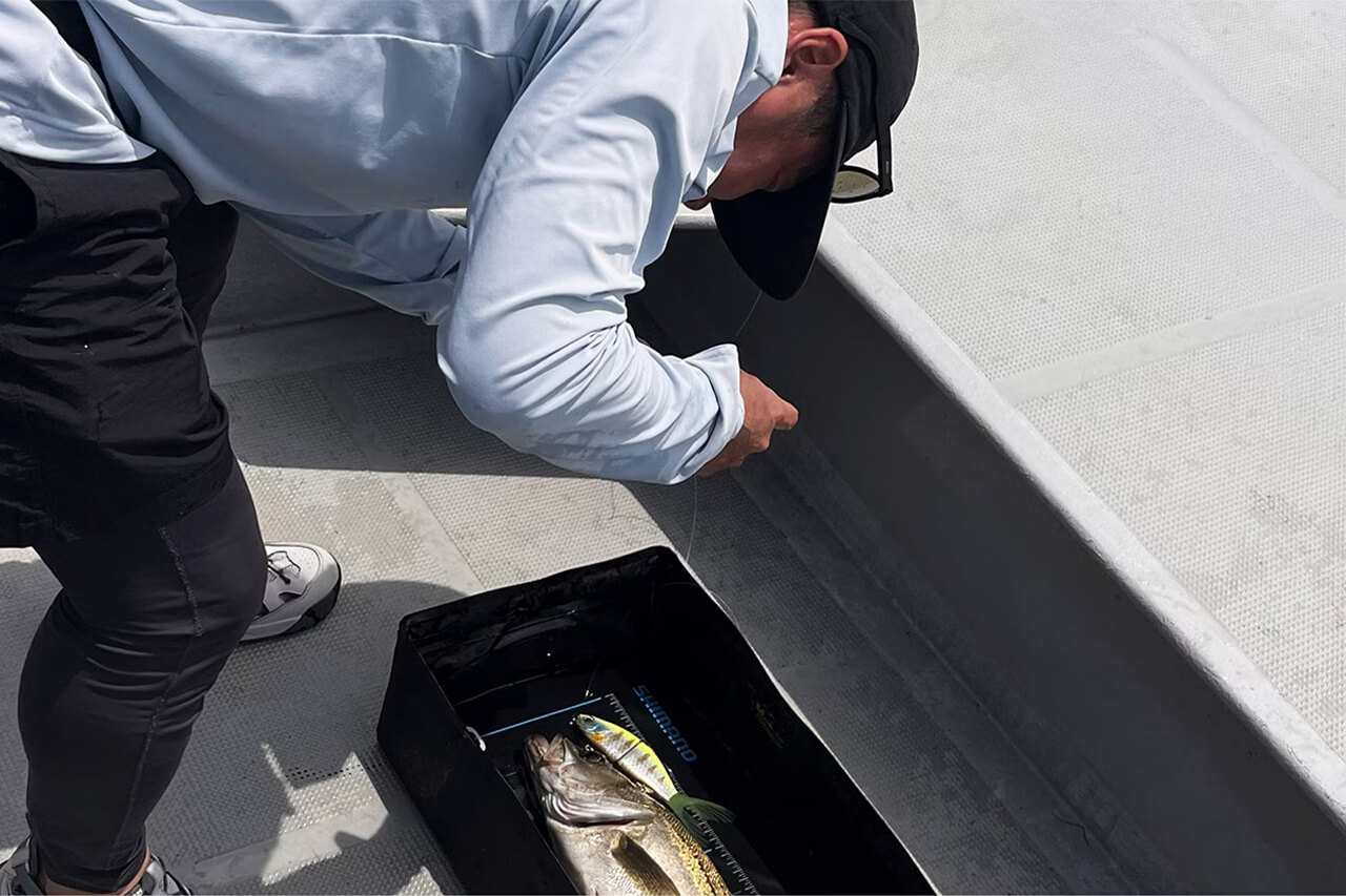 |「未来の魚を守る」魚に無駄なダメージを与えずに撮影からサイズ計測までできるメジャーがシマノから登場。