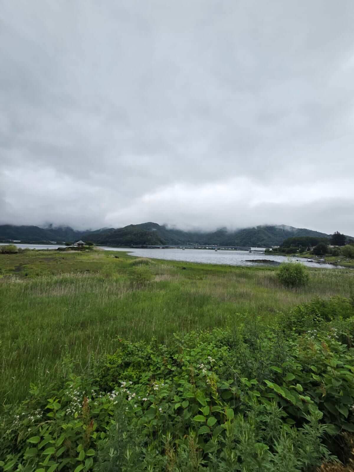 |“まだ夏じゃない”季節遅れの河口湖、低活性バス攻略の現在地は?