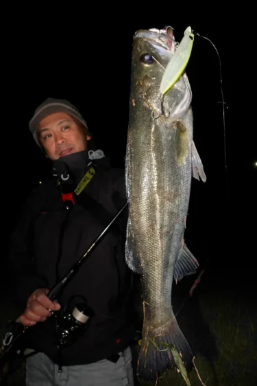 潮の変化が著しい梅雨入りの湾奧（大野ゆうき）