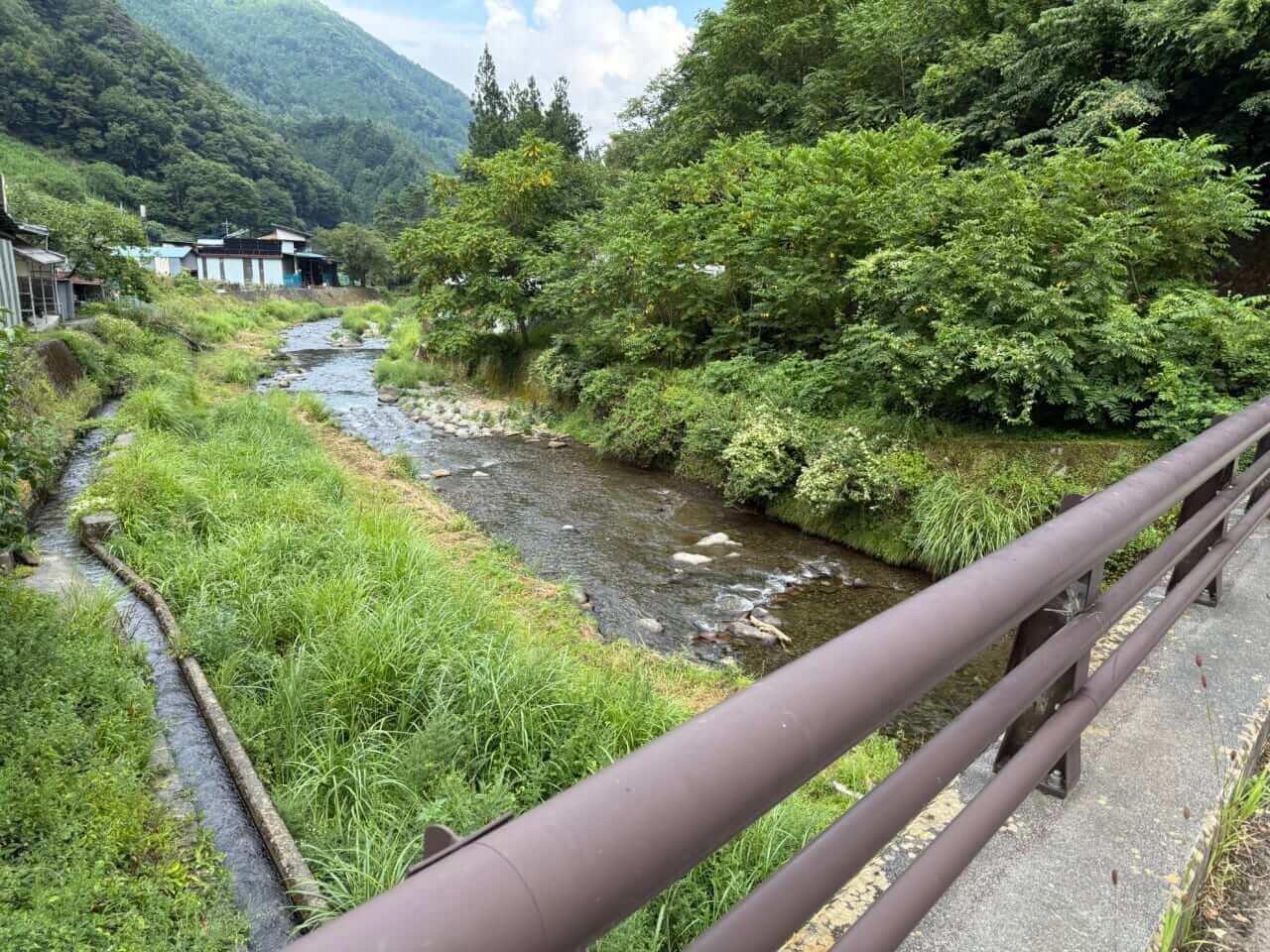 ｜マル秘情報あり！　ヤマメ・イワナなどのトラウトの棲む川を見つける方法【フライフィッシングの教科書11】