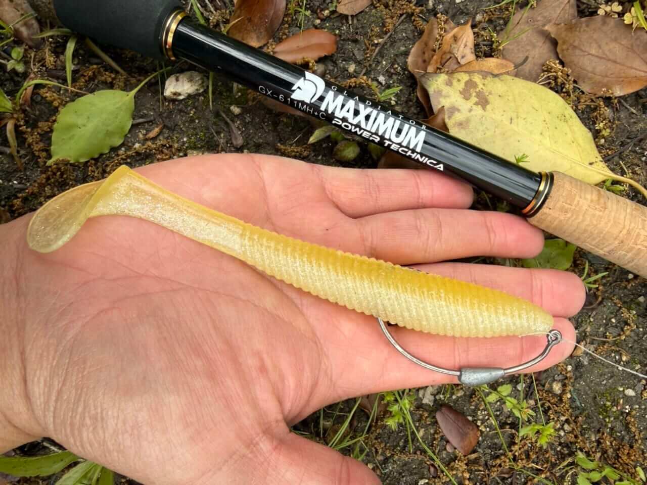 |フルスイングで獲るアーリーサマーのバス攻略。そして“ギルを食わせる季節”も開幕!
