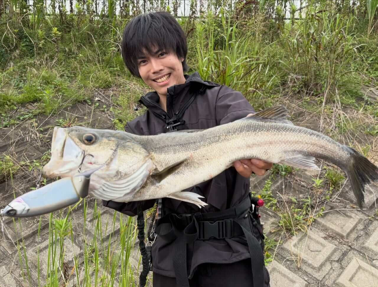 |「こんなでかいルアーに食らいつくなんて」近所の川から現れたのは…