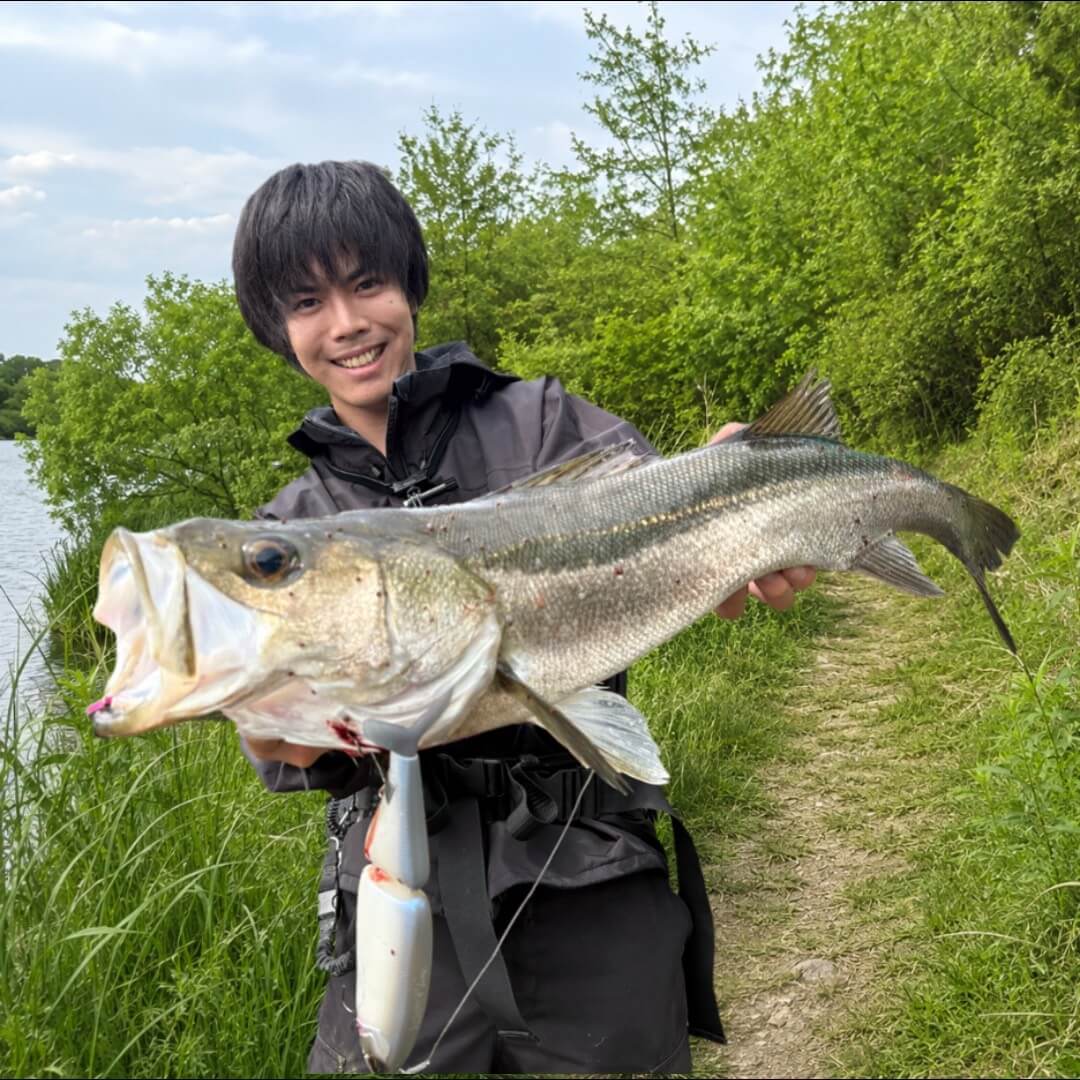 |「こんなでかいルアーに食らいつくなんて」近所の川から現れたのは…