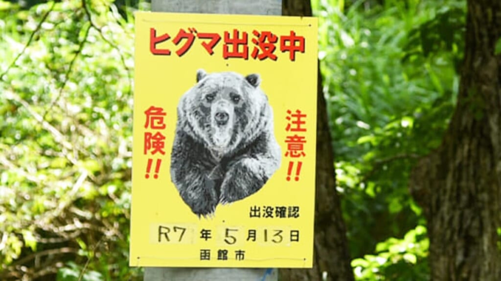 |「前日はなかった足跡が」熊とばったり遭遇しないように心がけている事とは…