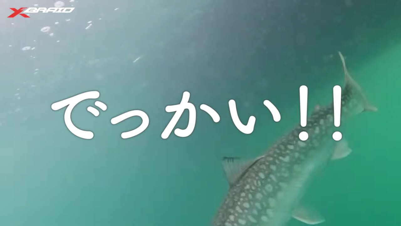 ｜サクラマスジギングのライン選びに迷ったらコレ！大人気ラインメーカー『XBRAID』スタッフがサクラマスを本気で狙う！