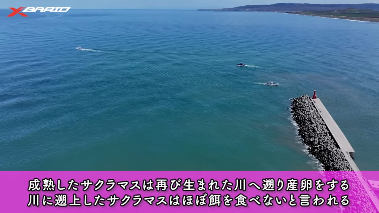 ｜サクラマスジギングのライン選びに迷ったらコレ！大人気ラインメーカー『XBRAID』スタッフがサクラマスを本気で狙う！
