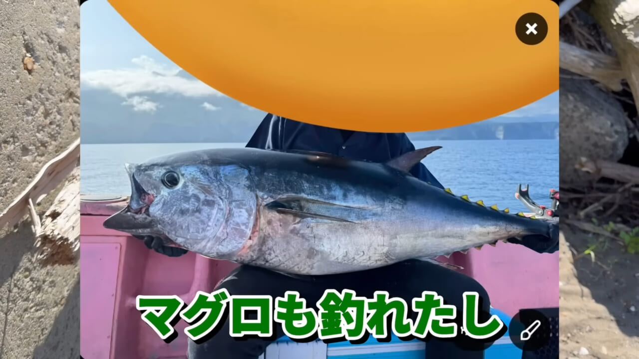 ｜ユーチューバーが捕獲した『ヤバい魚』。「うわっ、でっか」「ゴジラやん」200万回再生された捕獲劇がスゴイ。