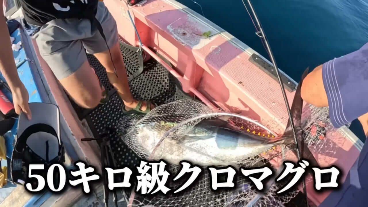 ｜ユーチューバーが捕獲した『ヤバい魚』。「うわっ、でっか」「ゴジラやん」200万回再生された捕獲劇がスゴイ。