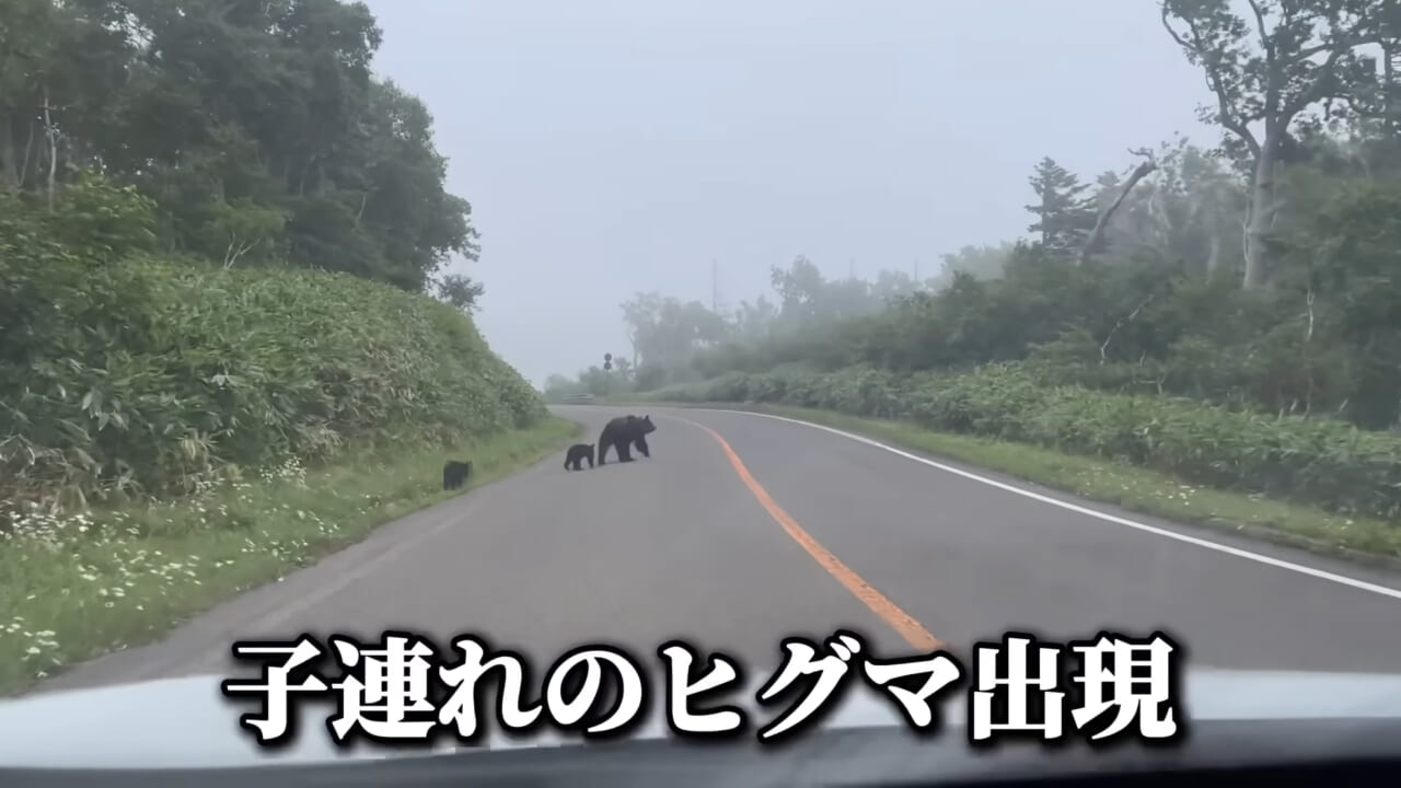 ｜ユーチューバーが捕獲した『ヤバい魚』。「うわっ、でっか」「ゴジラやん」200万回再生された捕獲劇がスゴイ。