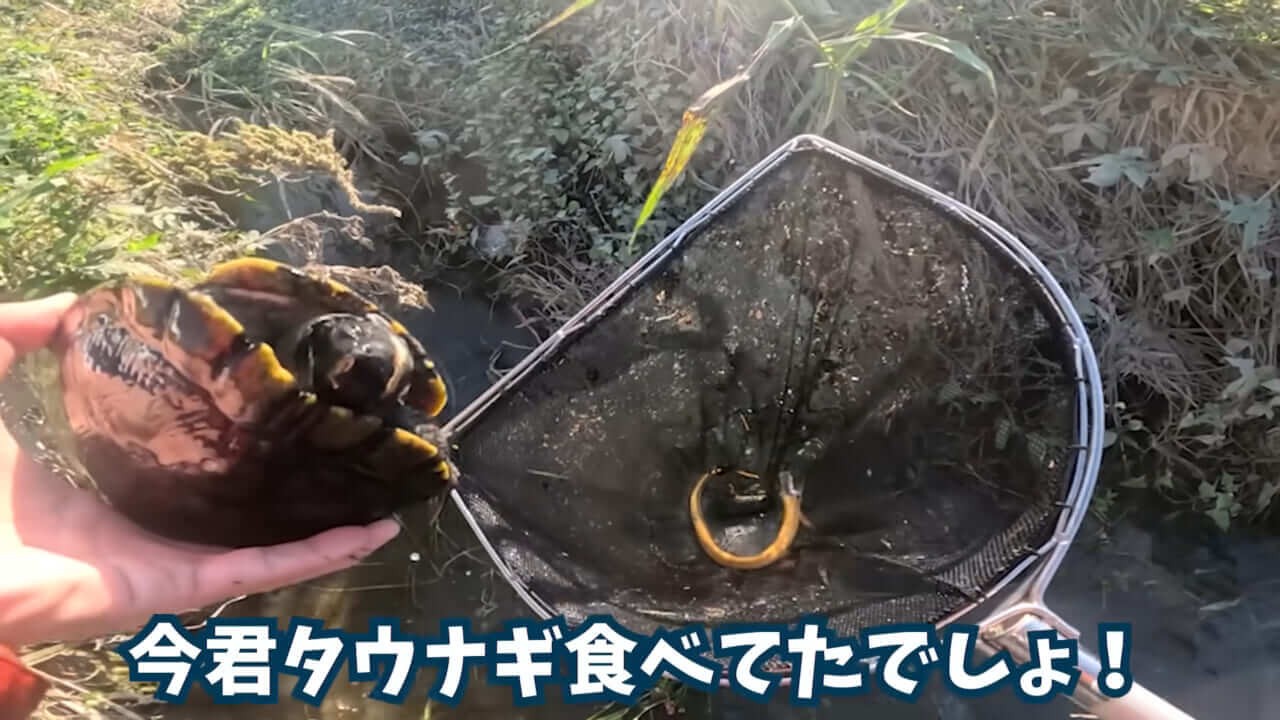 |「魚が10分で瀕死に」「生き物がいない」ガサガサ中に発見した『川の排水』を環境局に通報した結果。「基準値が…」