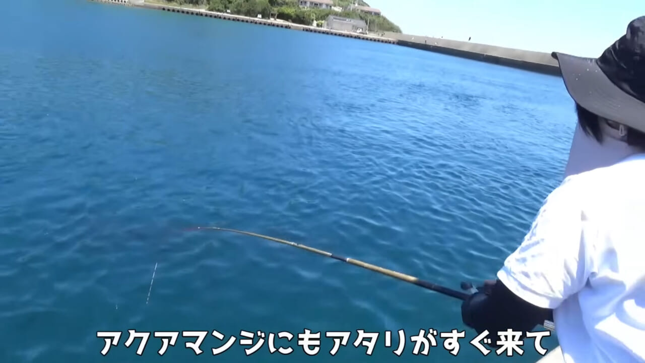 |「ヤバっ、初めて見た」「遭遇するのは一生に一度」海で遭遇した『異生物』を捕獲。魚でも貝でもない生物の正体がスゴイ。「生態も解明されていません」