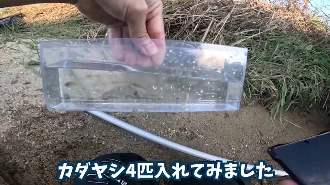 |「魚が10分で瀕死に」「生き物がいない」ガサガサ中に発見した『川の排水』を環境局に通報した結果。「基準値が…」