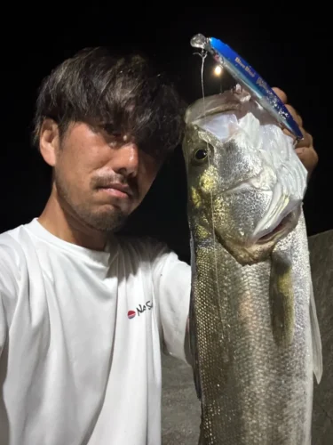 エンピツサヨリに使ってほしいミノー（寺岡寿人）