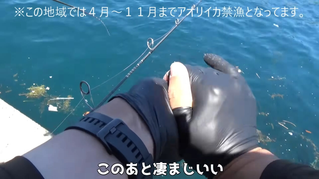|「ヤバっ、初めて見た」「遭遇するのは一生に一度」海で遭遇した『異生物』を捕獲。魚でも貝でもない生物の正体がスゴイ。「生態も解明されていません」