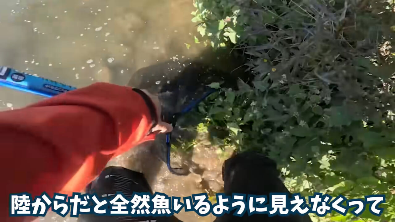 ｜「魚が10分で瀕死に」「生き物がいない」ガサガサ中に発見した『川の排水』を環境局に通報した結果。「基準値が…」