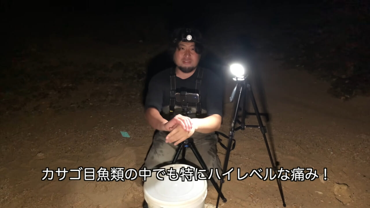 ｜死亡例もある世界最強の『毒魚』に刺されてみた結果→「トンカチで骨を殴られたみたい」身体を張って毒の威力を大検証。「絶対にマネしないで」